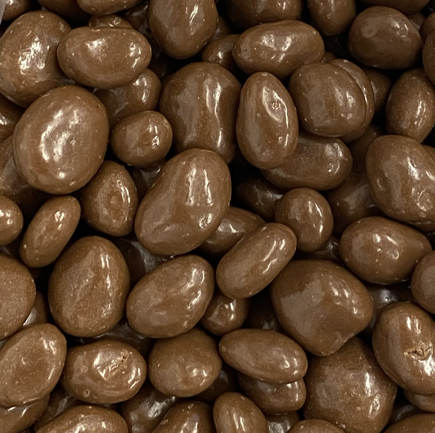 Carol Anne Bonnerex (chocolate flavoured) Raisins - 3kg
